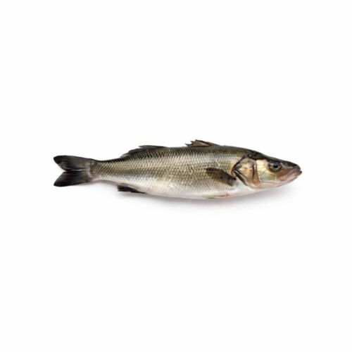 Bar Entier 700g à  prêt à  Cuire – Poisson Frais