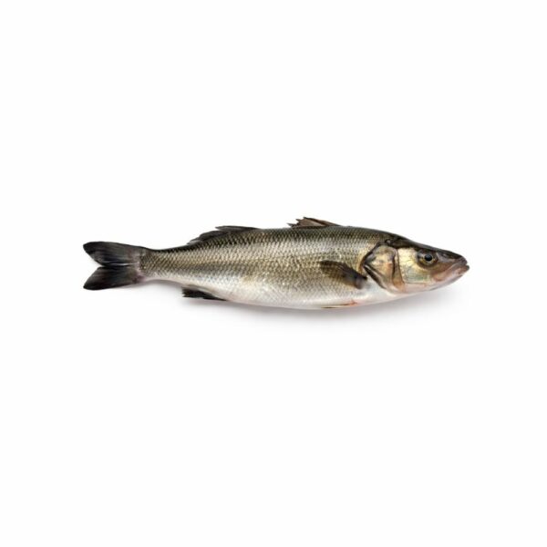 Bar Entier 700g à  prêt à  Cuire – Poisson Frais