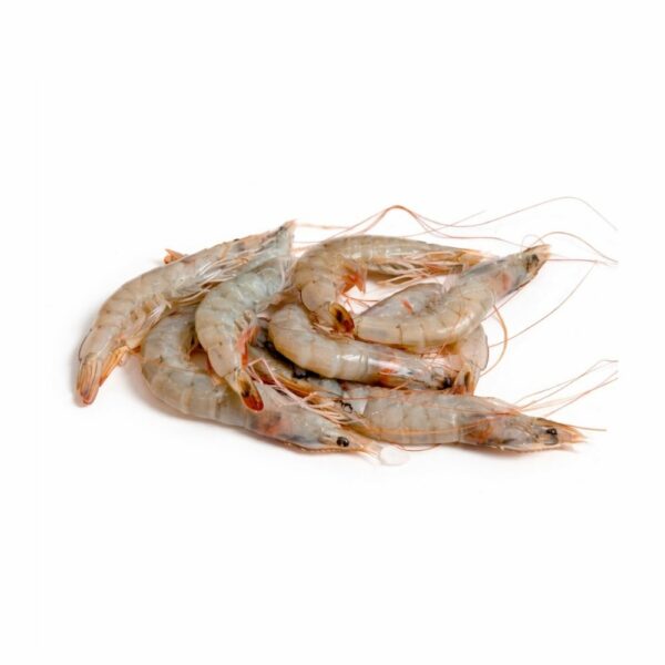 Crevettes crues équateur 3040 200g Crevettes Crues Équateur 30/40 200g