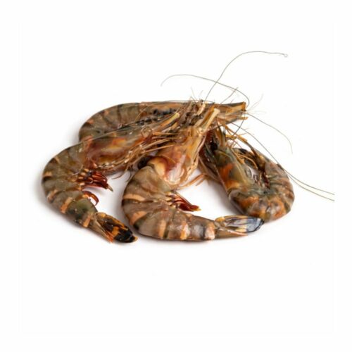 Grosses Crevettes Crues Sauvages 200g