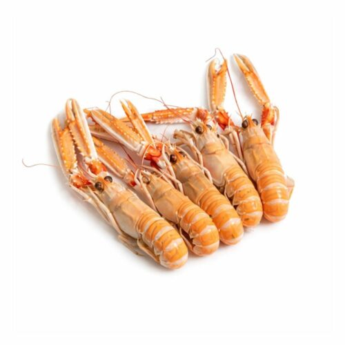 Langoustine Cuite tailles 10/15 200g – Crustacé Frais