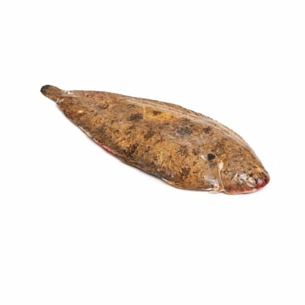 Sole Fraîche 600/800g à la Pièce