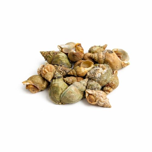 Bulot Cuit Épicé 300g – Coquillage Relevé au épices