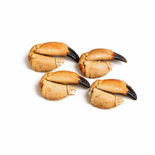 Pince de Tourteau grosse  250g – Crabe Frais