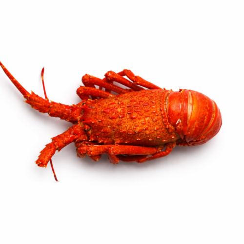 Langouste Cuite des Caraïbes 400g