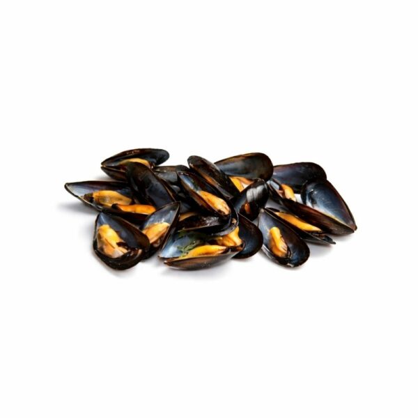 Moules de hollande barquette de 2kg Moules de Hollande 2kg