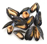 filet de bar 150 gr